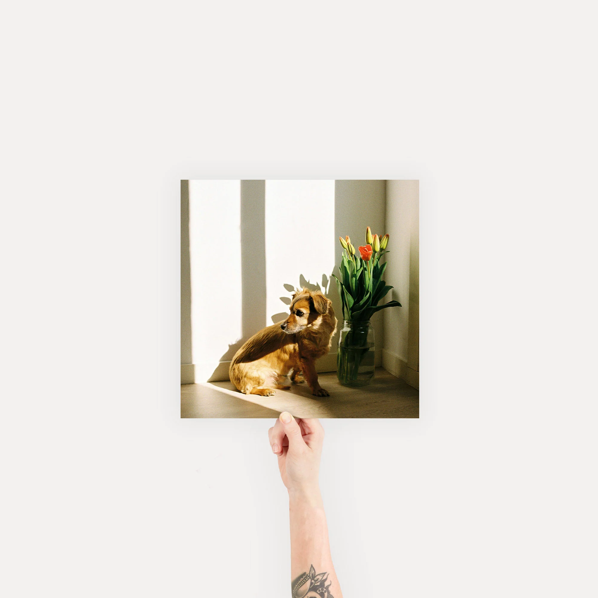 Fine Art Print - Image 15