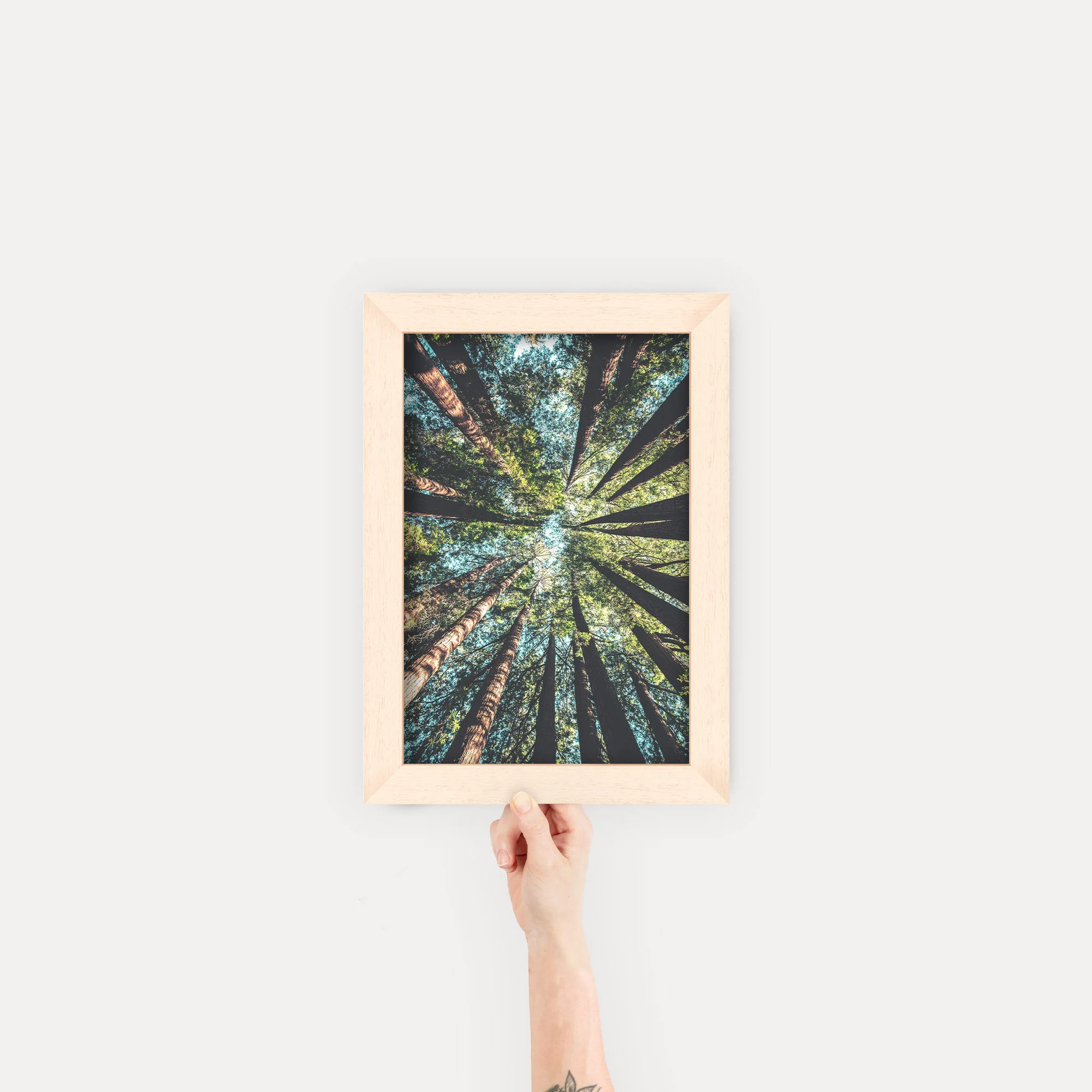 Gallery Frames - Image 35