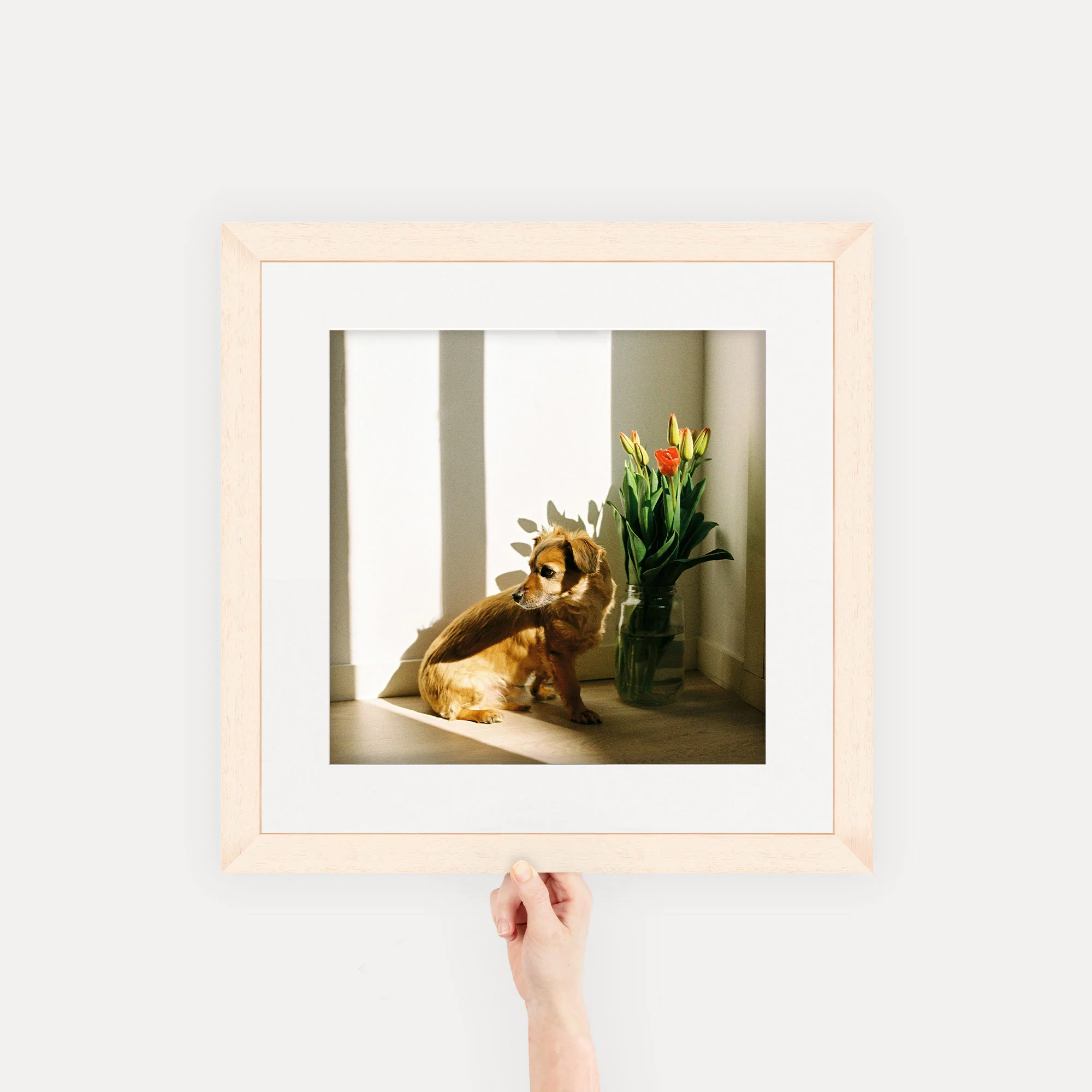 Gallery Frames - Image 48