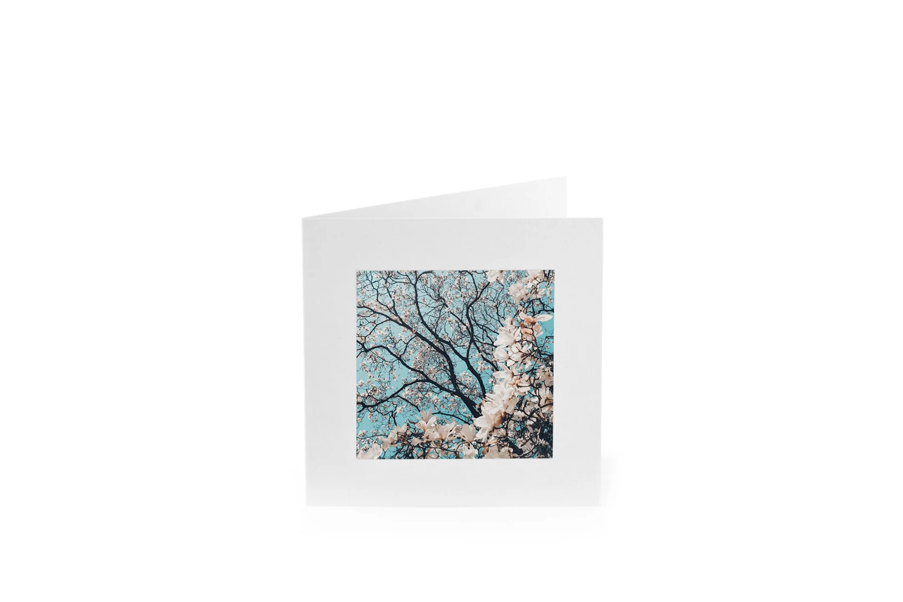 Greeting Cards - Image 14