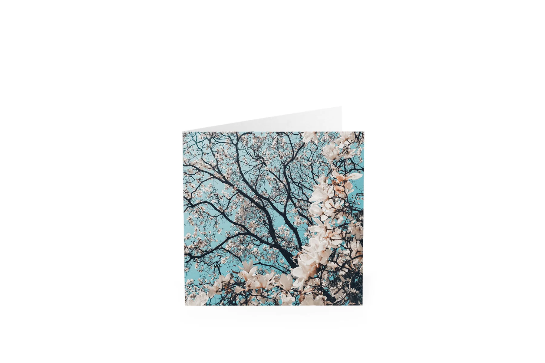 Greeting Cards - Image 15