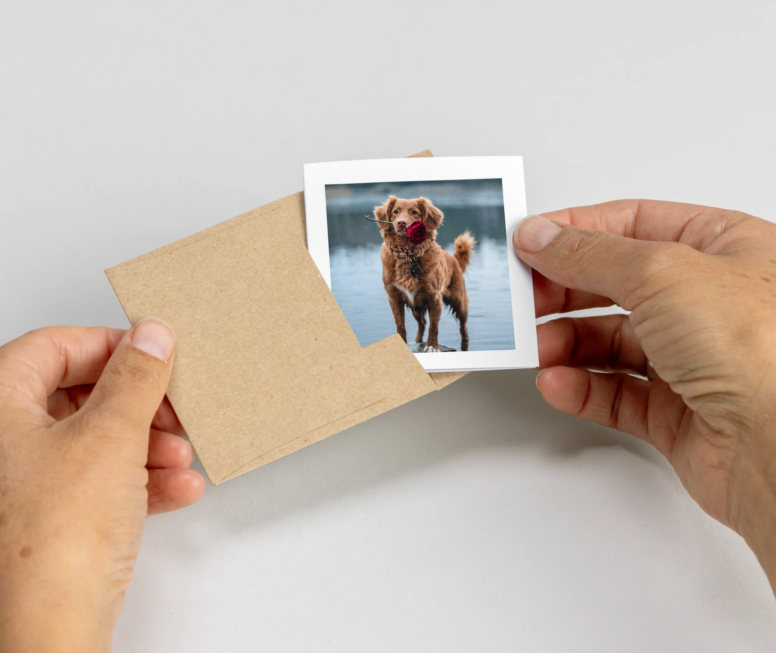 Greeting Cards - Image 6